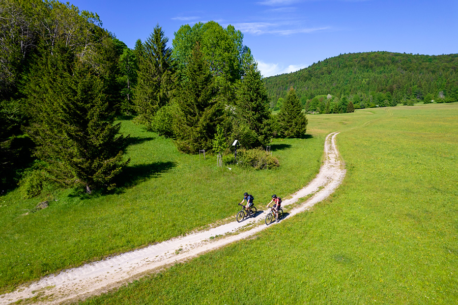 S kolesom med medvede – Ponikve in Kočevski gozd, Slovenija