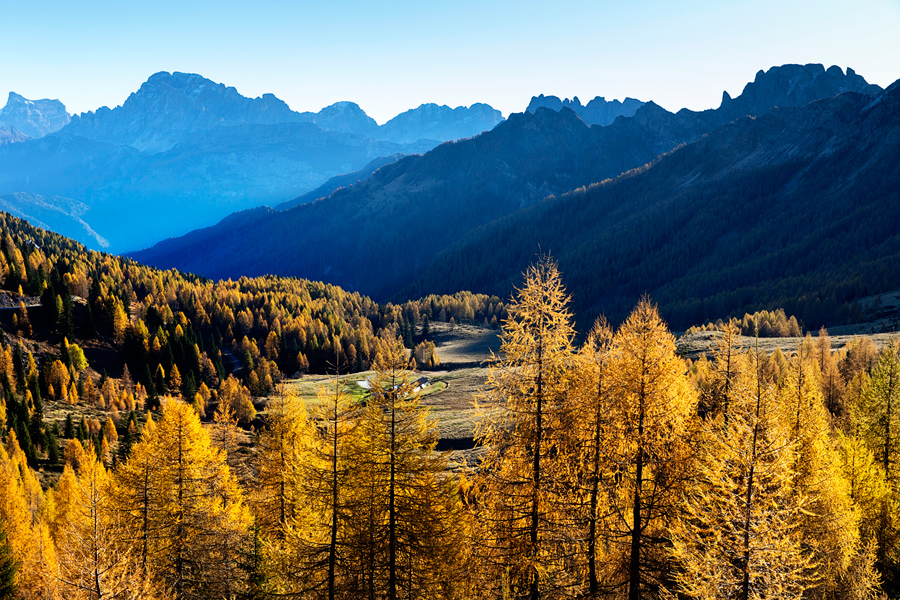 Val Venegia, jelen in Mezzano v enem dnevu, Italija