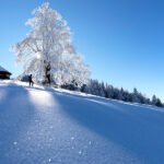 Ko te božični sneg zvabi na Gače, Slovenija