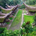Potopisno predavanje - Sumatra in Sulawesi – potovanje po divji Indoneziji