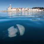 Izola–Piran–Izola: sezona odprta (in klobučnjaki tudi)