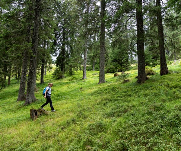 Najina sobotna idila pod Travnikom (ko imaš cel greben zase)