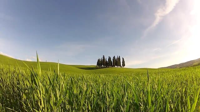 King of the Bongo, Toskana, Italija
