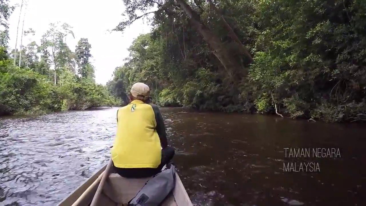 Taman Negara