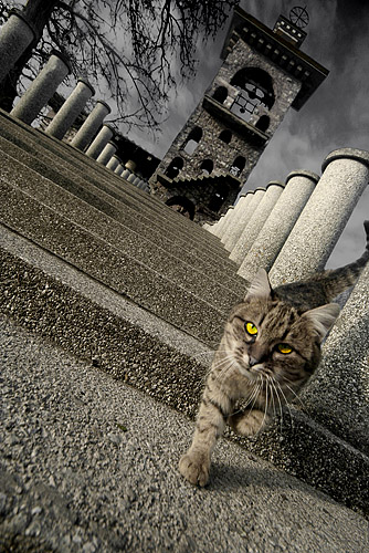 Zmagu sem! Toooooooooo!!