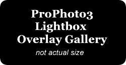 Slovenska baseball liga