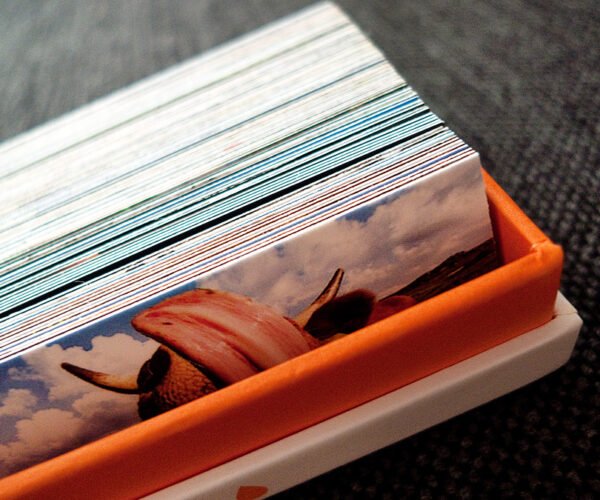 Moo mini cards