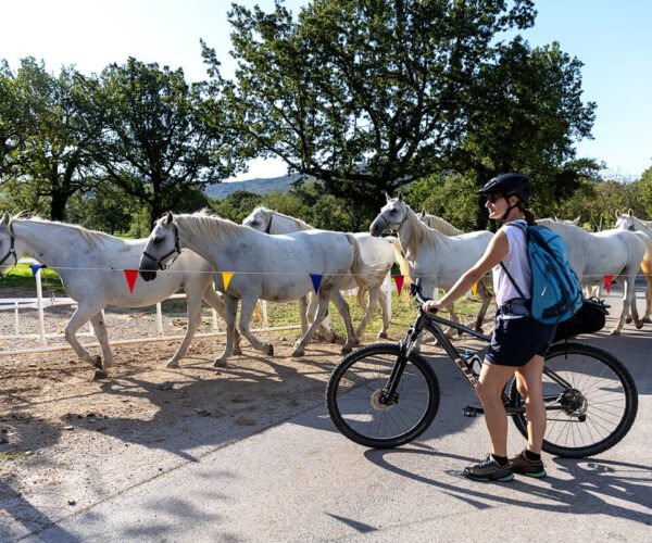 Jesenski bikepacking odklop: Preko Krasa do Tržaškega zaliva